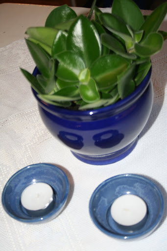 peperomia